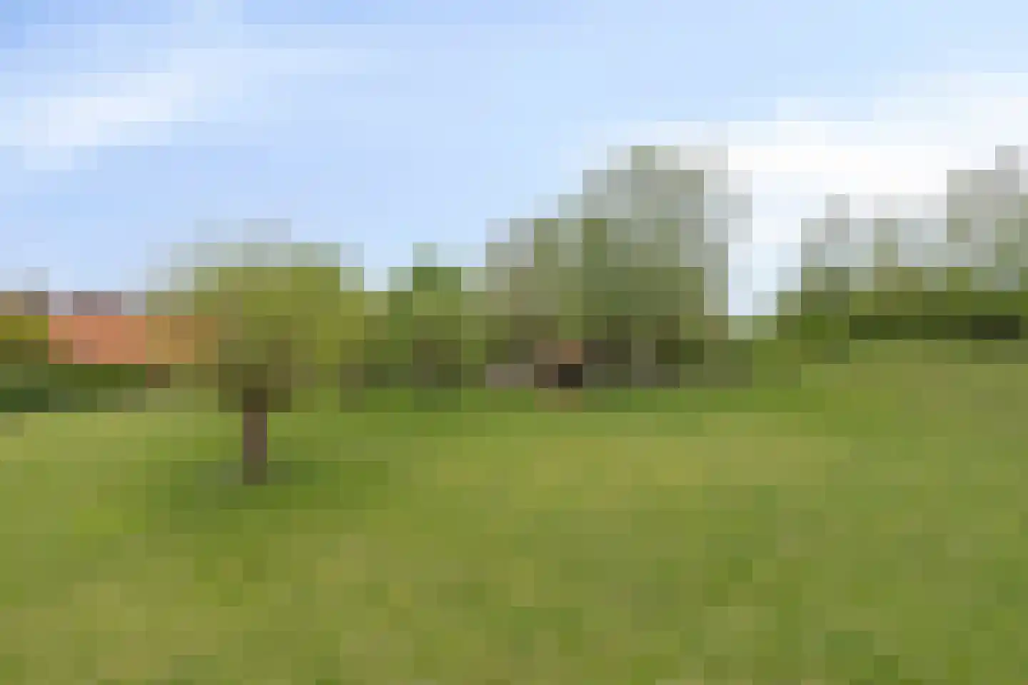 Rapenburg 143 Vogelwaarde thumbnail 73