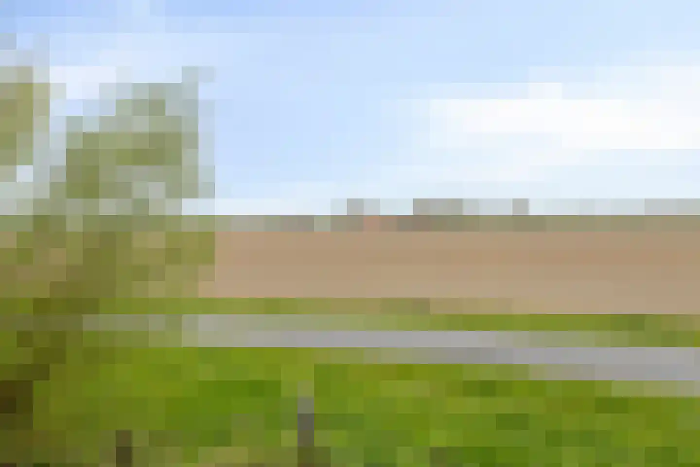 Rapenburg 143 Vogelwaarde thumbnail 74