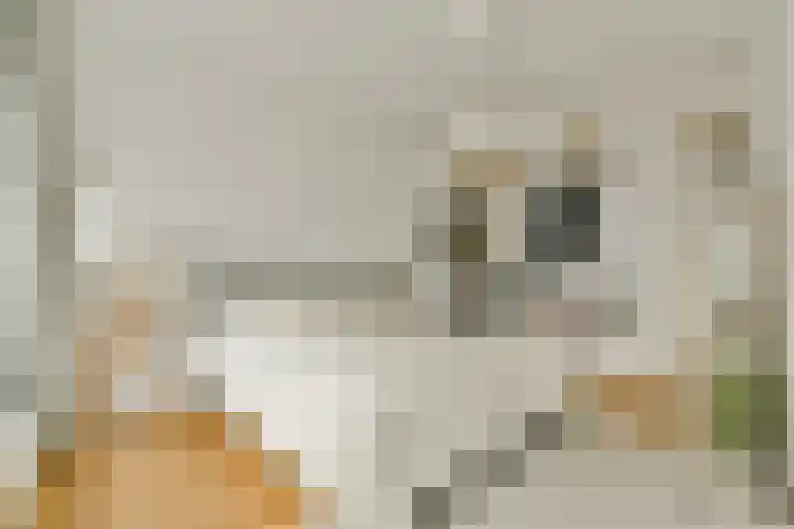 Rapenburg 16 3 Amsterdam thumbnail 11