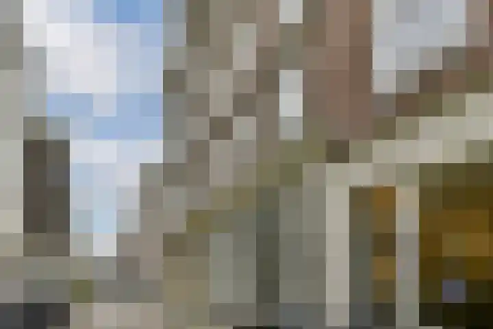 Rapenburg 16 3 Amsterdam thumbnail 16