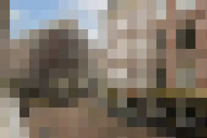 Rapenburg 16 3 Amsterdam thumbnail 18