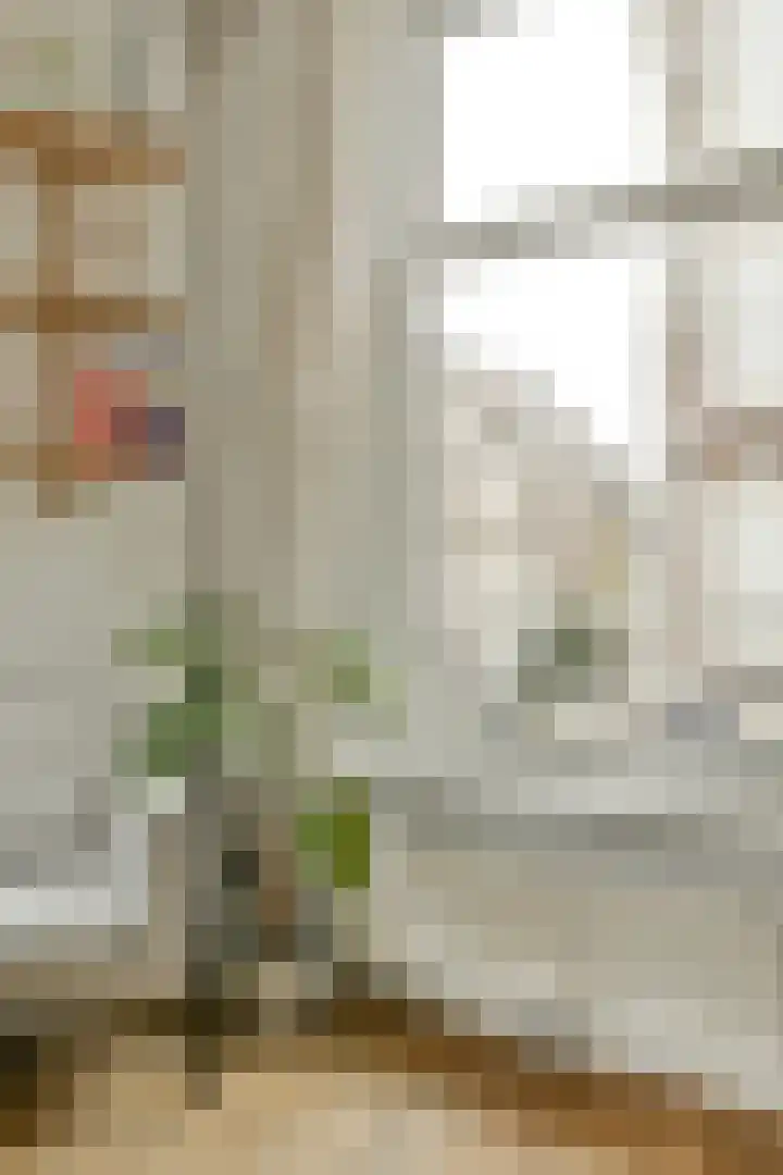 Rapenburg 16 3 Amsterdam thumbnail 22