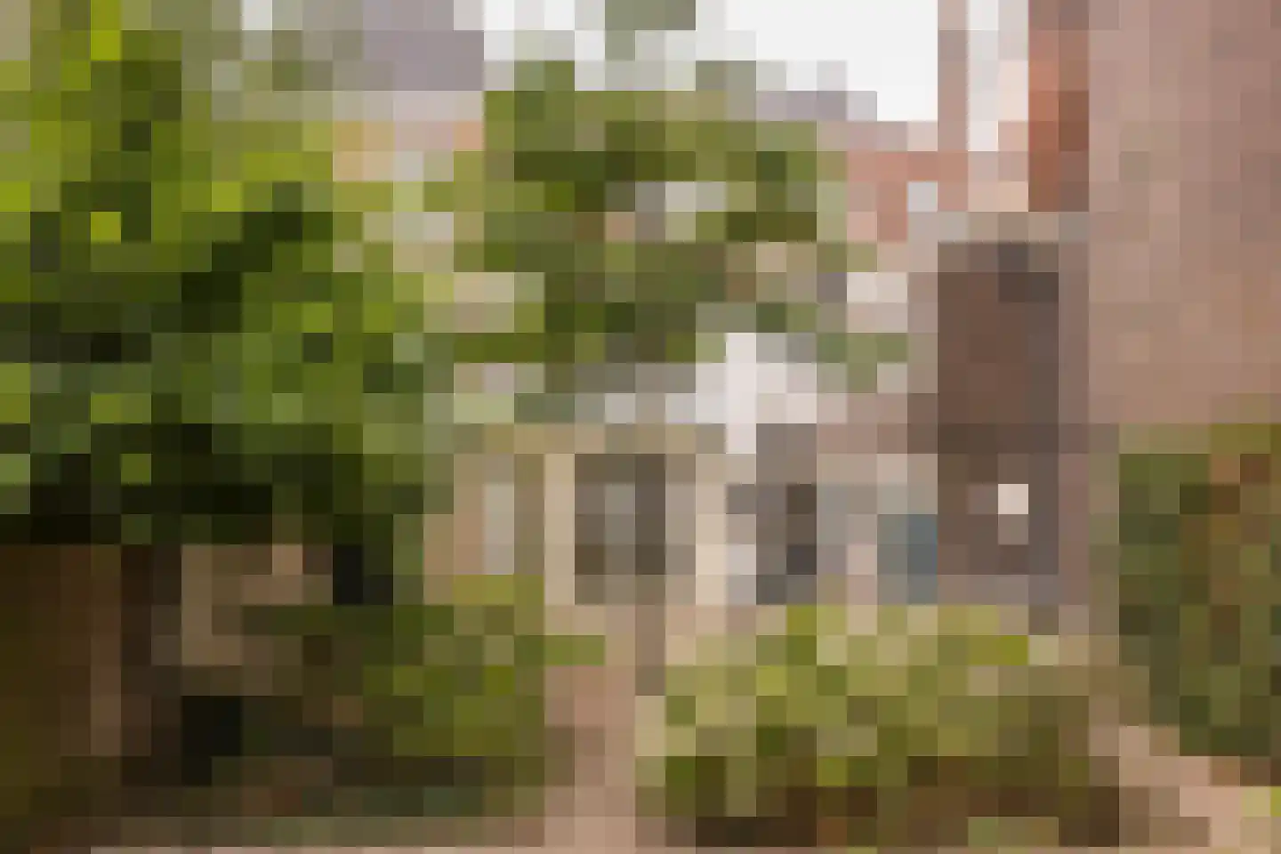 Rapenburg 16 Leiden thumbnail 26
