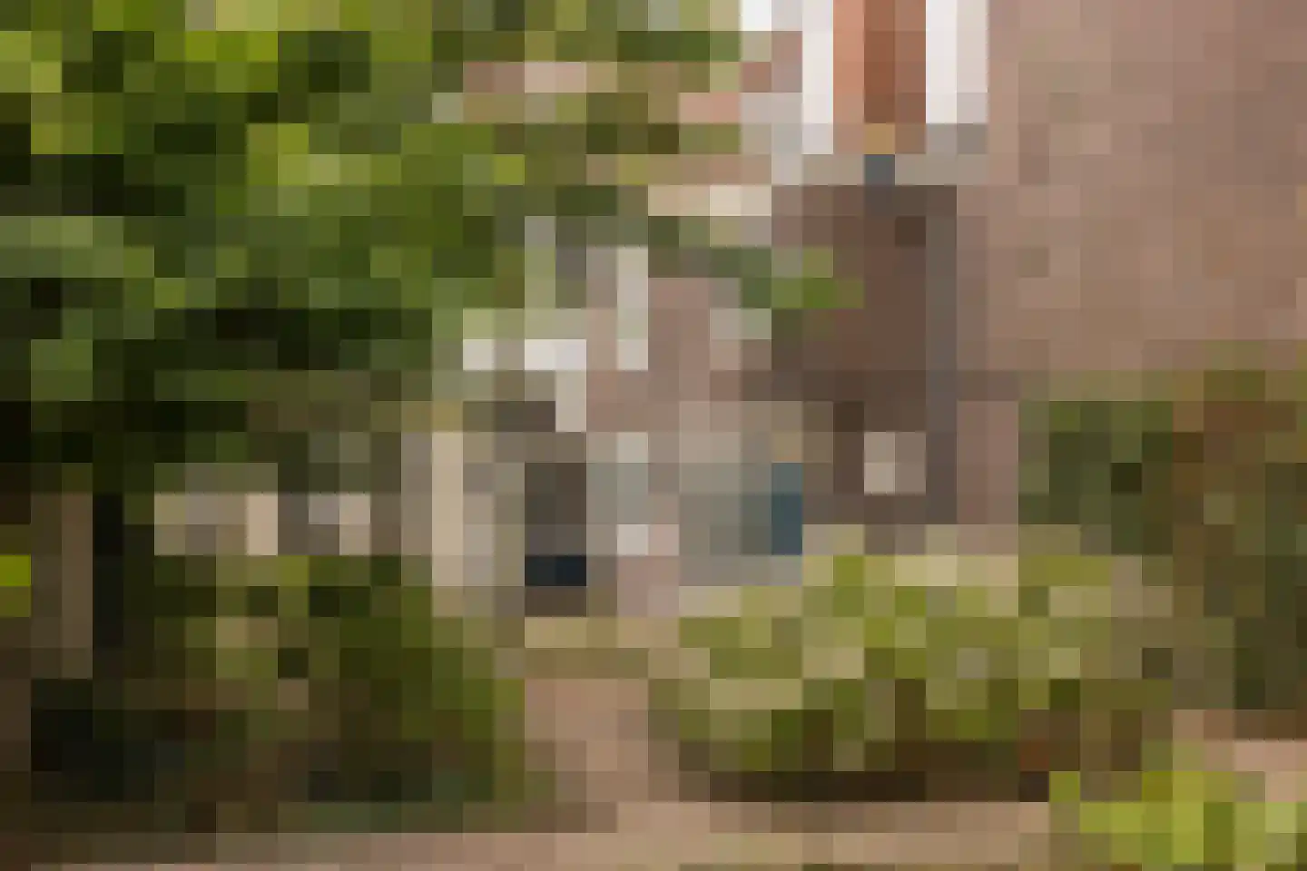 Rapenburg 16 Leiden thumbnail 28