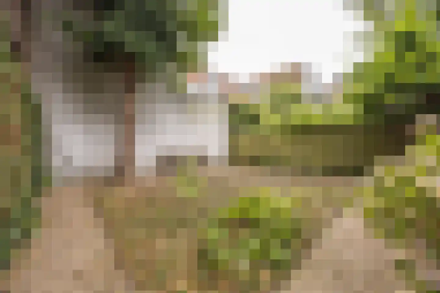 Rapenburg 16 Leiden thumbnail 31