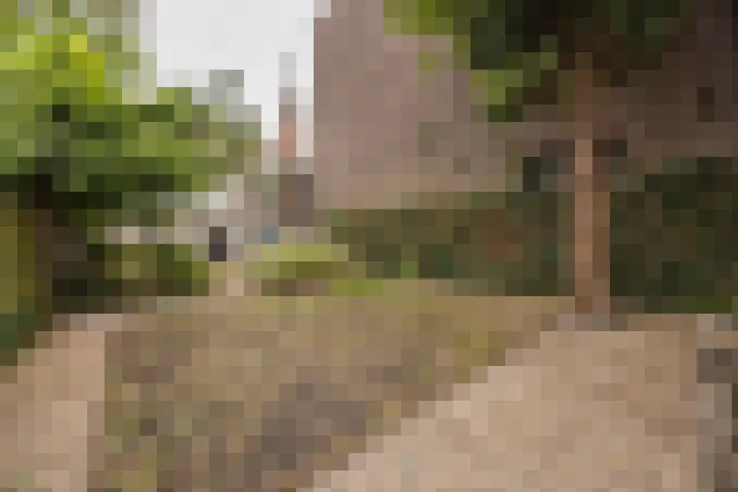 Rapenburg 16 Leiden thumbnail 33