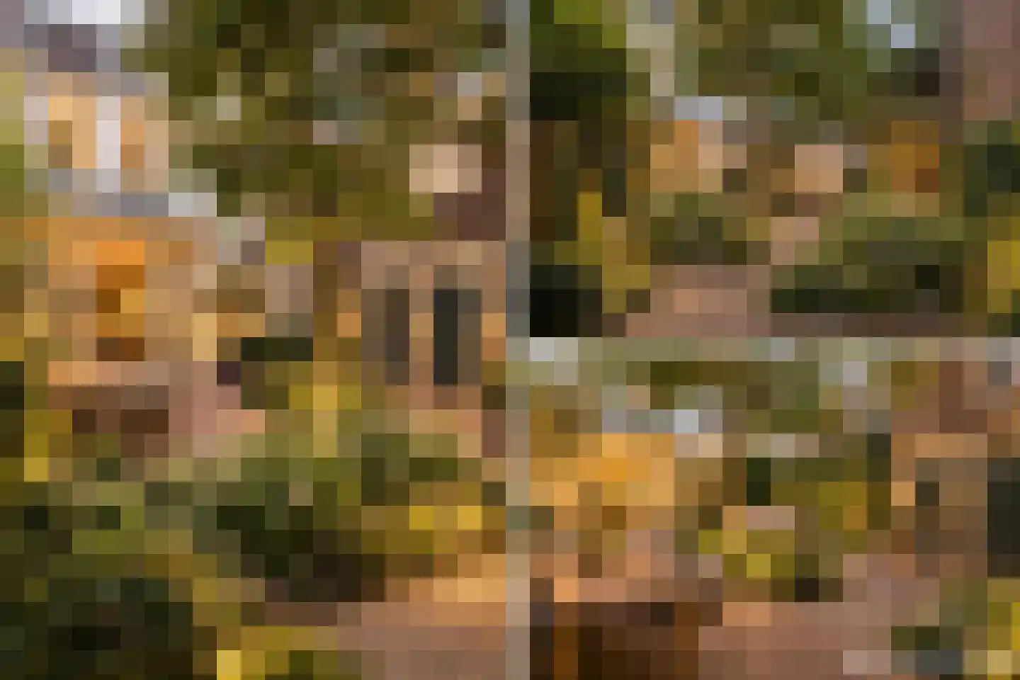 Rapenburg 16 Leiden thumbnail 4