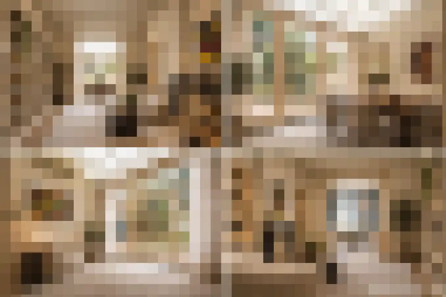 Rapenburg 16 Leiden thumbnail 4