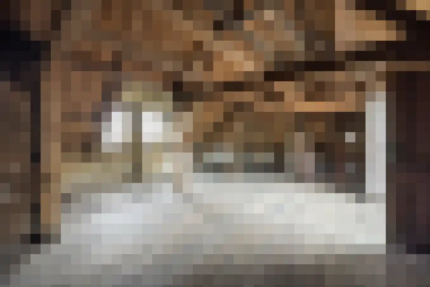 Rapenburg 16 Leiden thumbnail 43