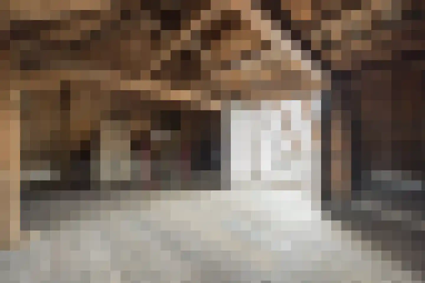 Rapenburg 16 Leiden thumbnail 46
