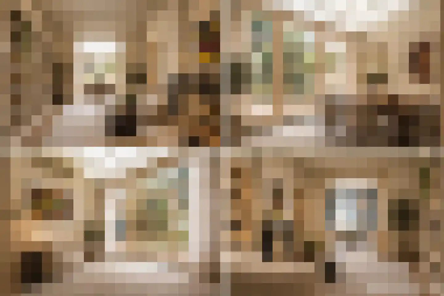 Rapenburg 16 Leiden thumbnail 5