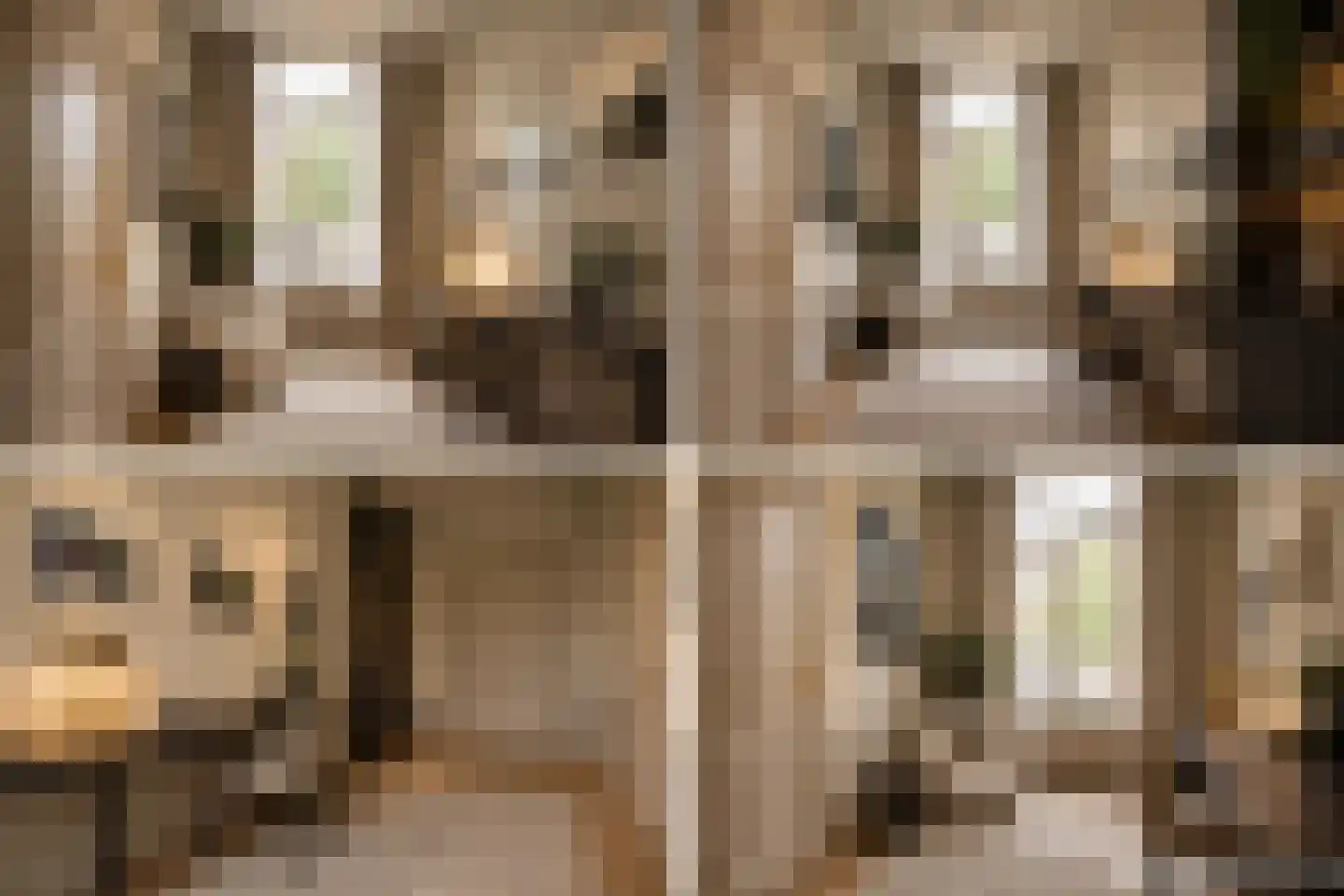 Rapenburg 16 Leiden thumbnail 5