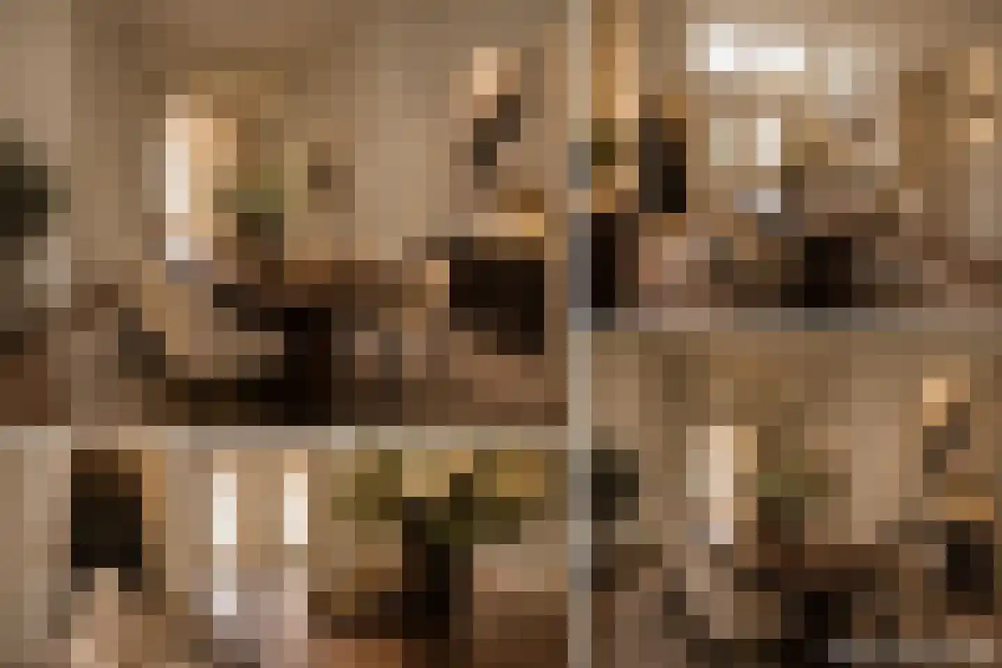Rapenburg 16 Leiden thumbnail 6