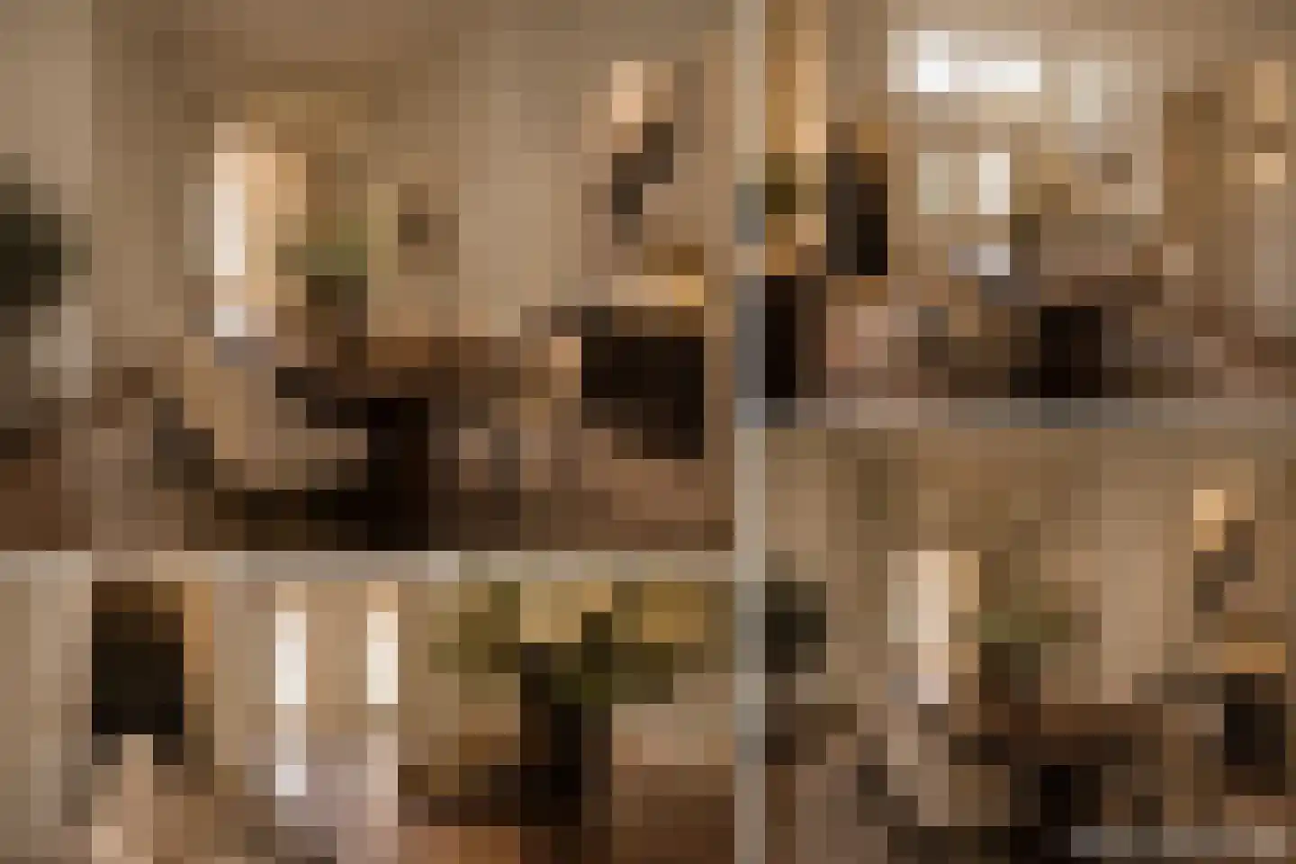 Rapenburg 16 Leiden thumbnail 7