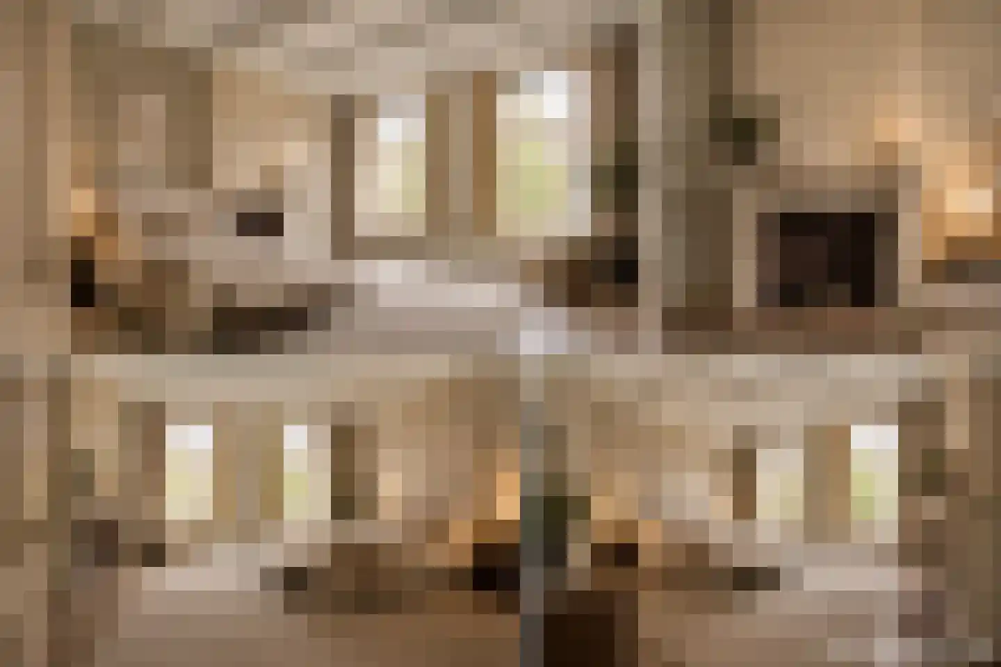 Rapenburg 16 Leiden thumbnail 8