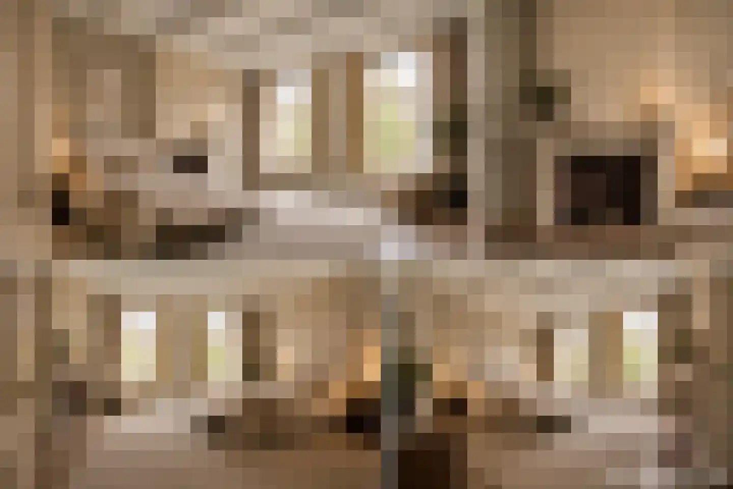 Rapenburg 16 Leiden thumbnail 9