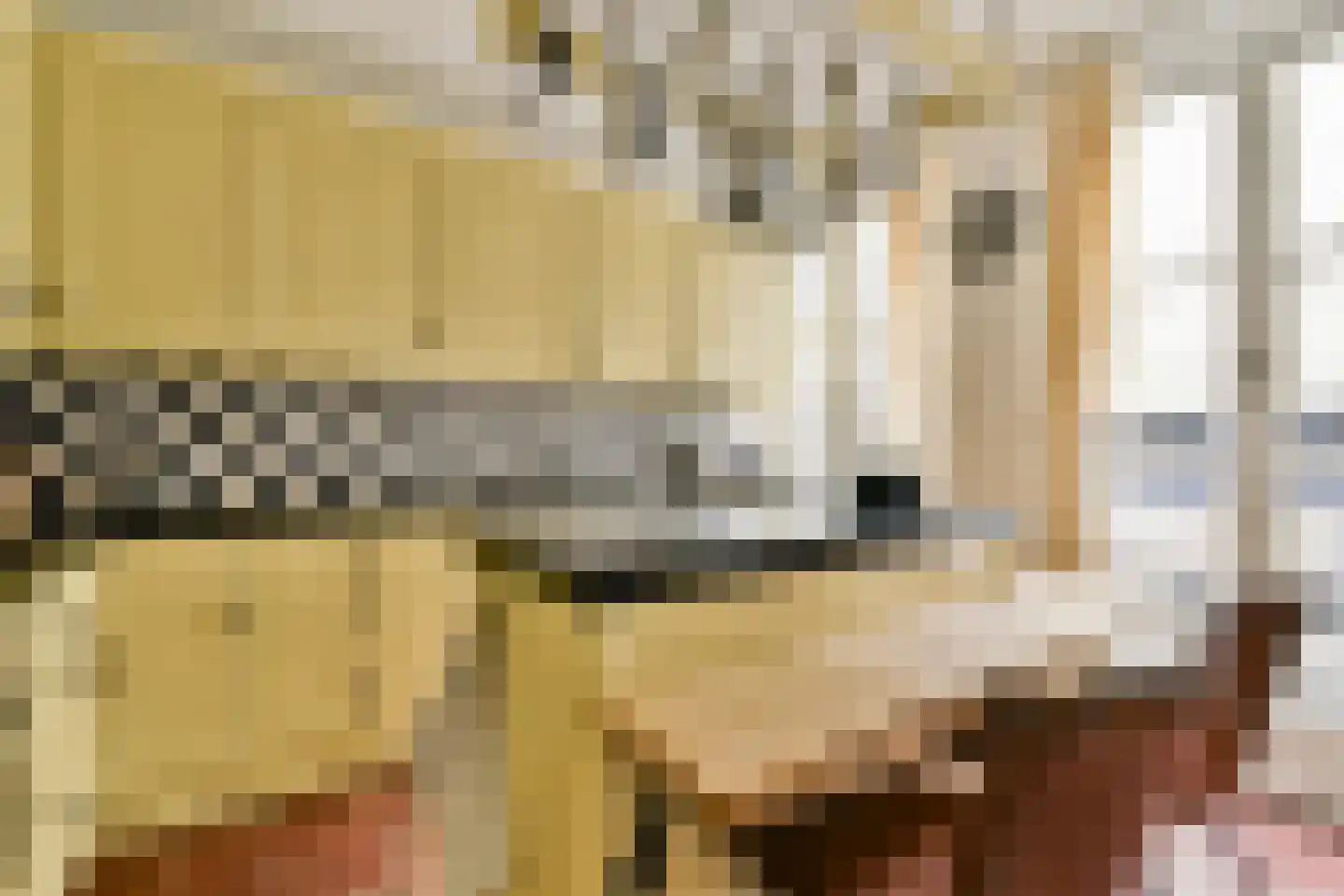 Rapenburg 25 Amsterdam thumbnail 10