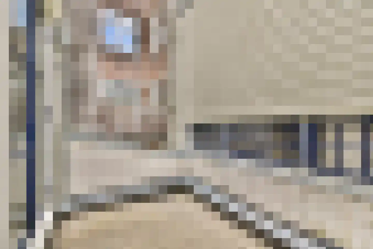 Rapenburg 25 Amsterdam thumbnail 13