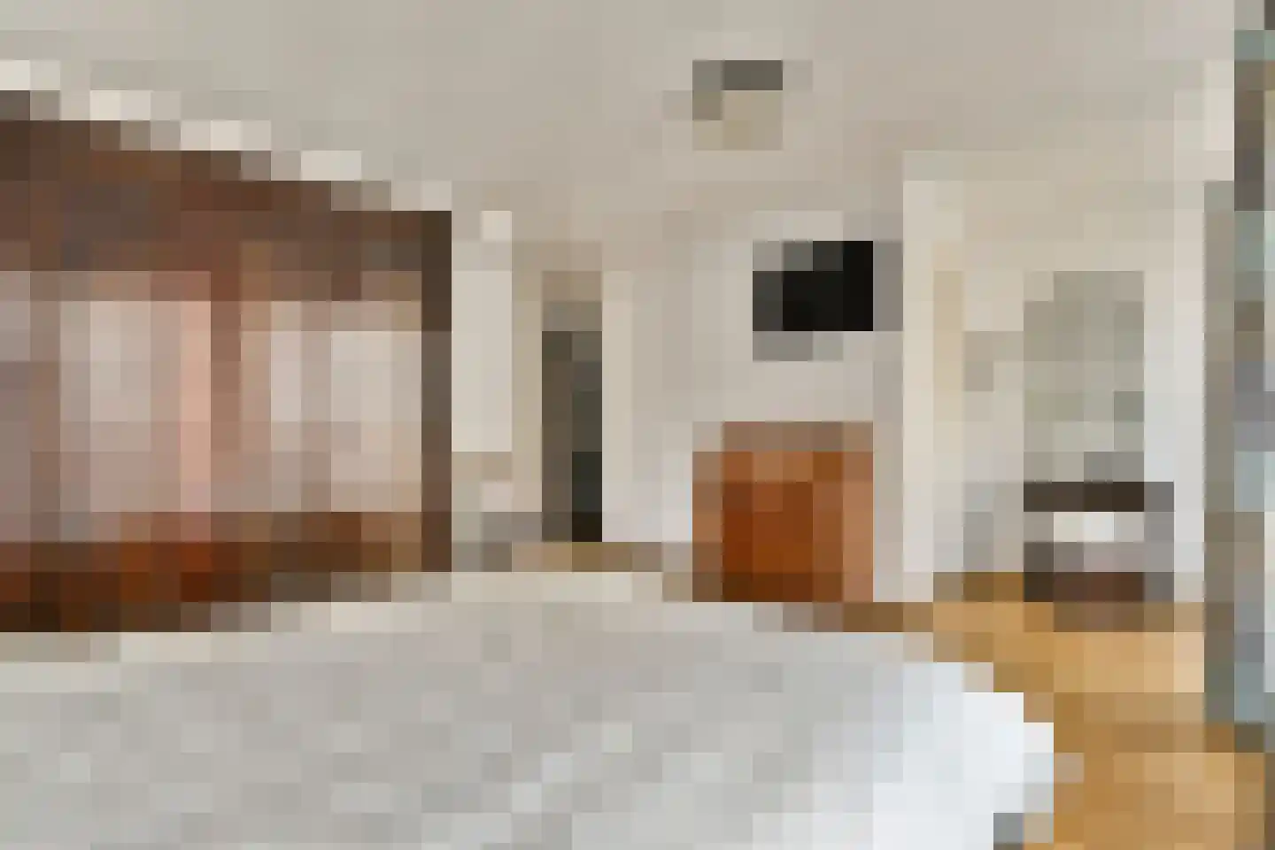 Rapenburg 25 Amsterdam thumbnail 19