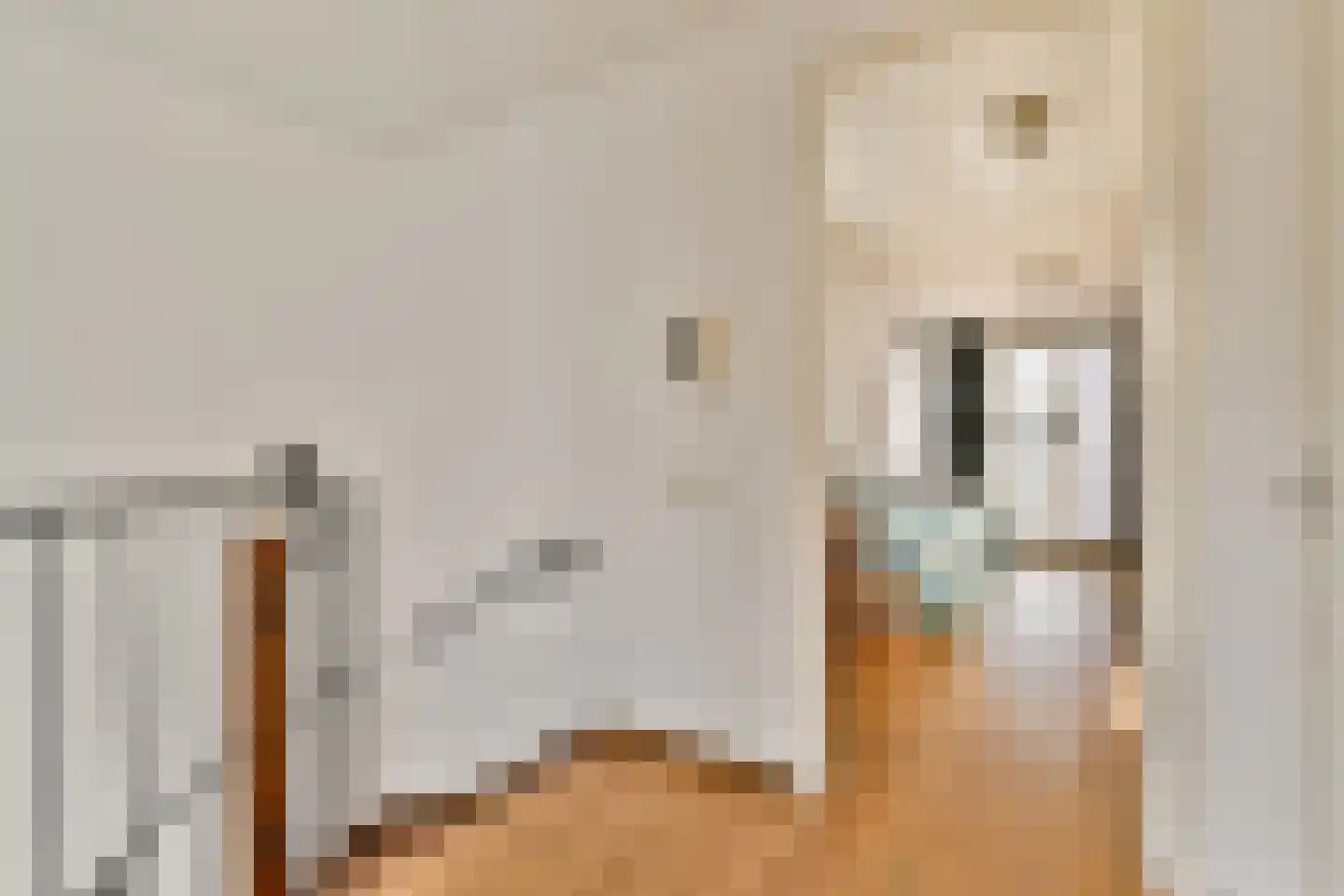 Rapenburg 25 Amsterdam thumbnail 26