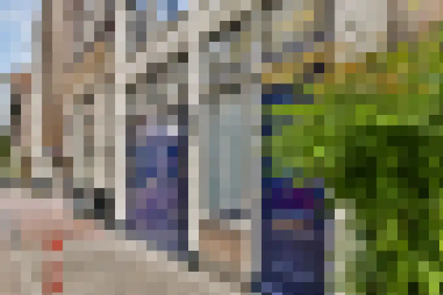 Rapenburg 25 Amsterdam thumbnail 4