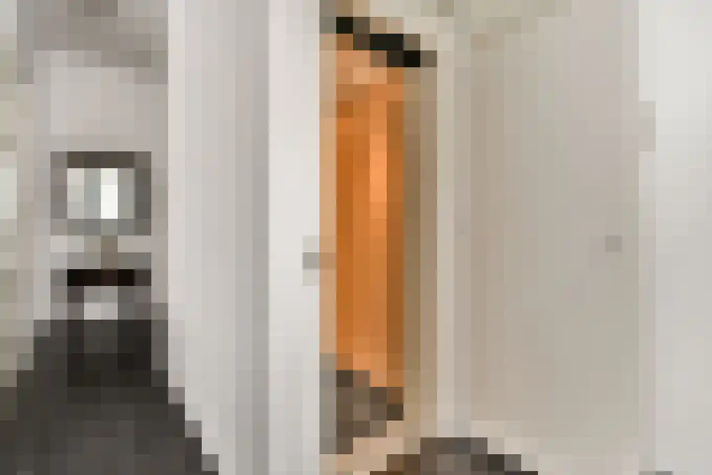 Rapenburg 25 Amsterdam thumbnail 5