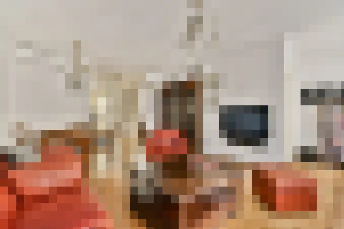 Rapenburg 25 Amsterdam thumbnail 8