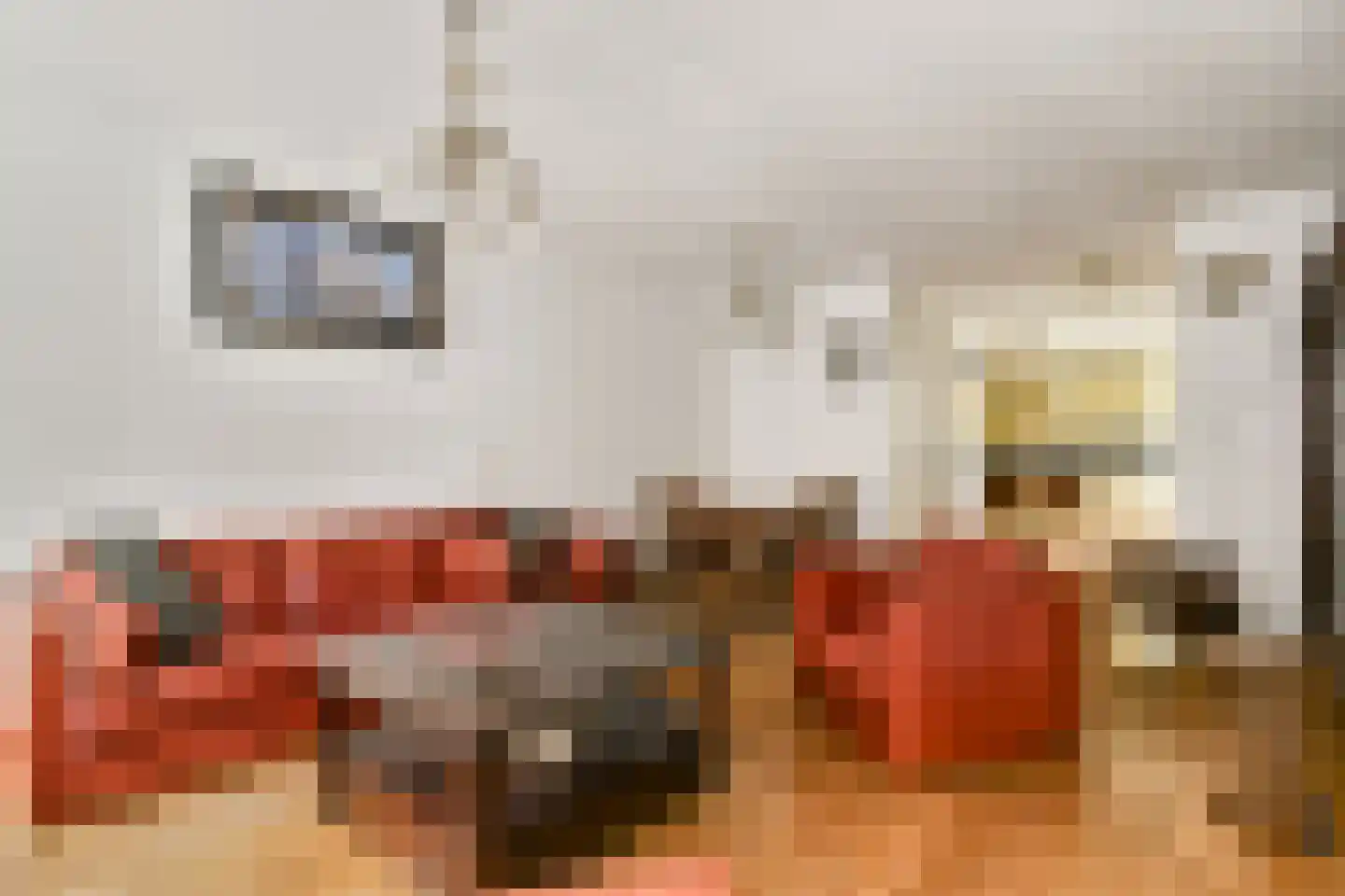 Rapenburg 25 Amsterdam thumbnail 9