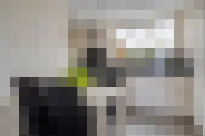 Rapenburg 25 Vogelwaarde thumbnail 11