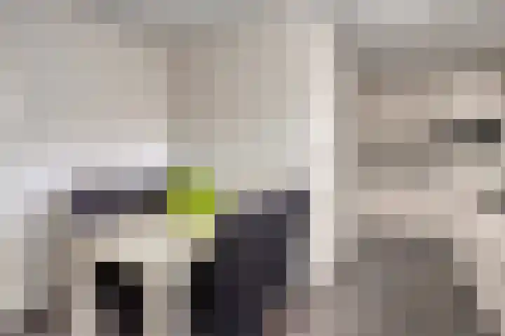 Rapenburg 25 Vogelwaarde thumbnail 12
