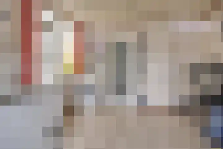 Rapenburg 25 Vogelwaarde thumbnail 14