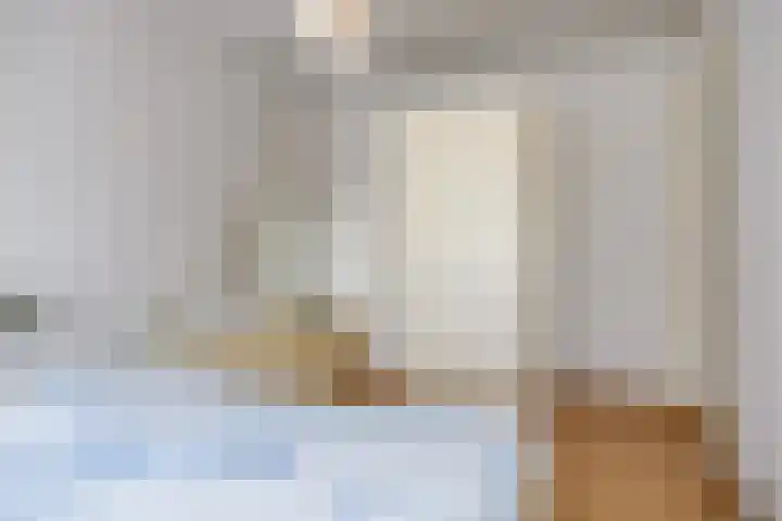 Rapenburg 25 Vogelwaarde thumbnail 23