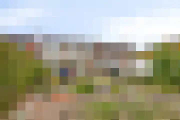 Rapenburg 25 Vogelwaarde thumbnail 30