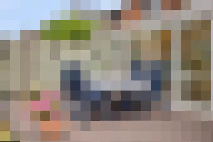 Rapenburg 25 Vogelwaarde thumbnail 31