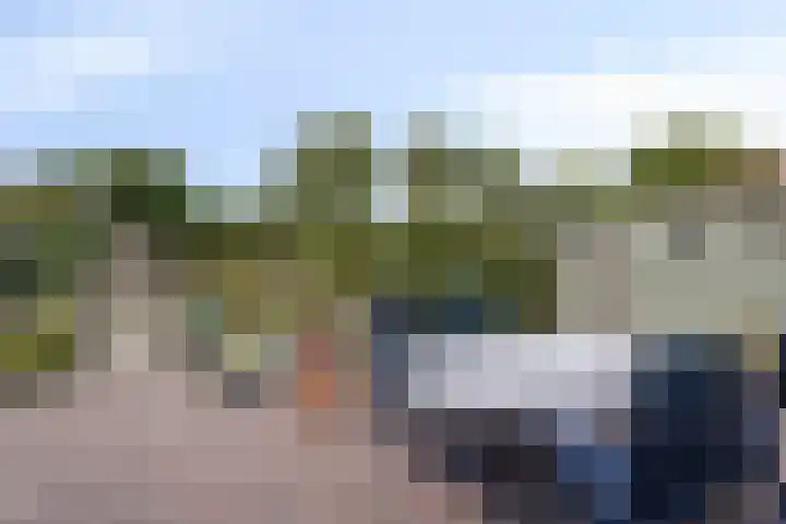Rapenburg 25 Vogelwaarde thumbnail 32
