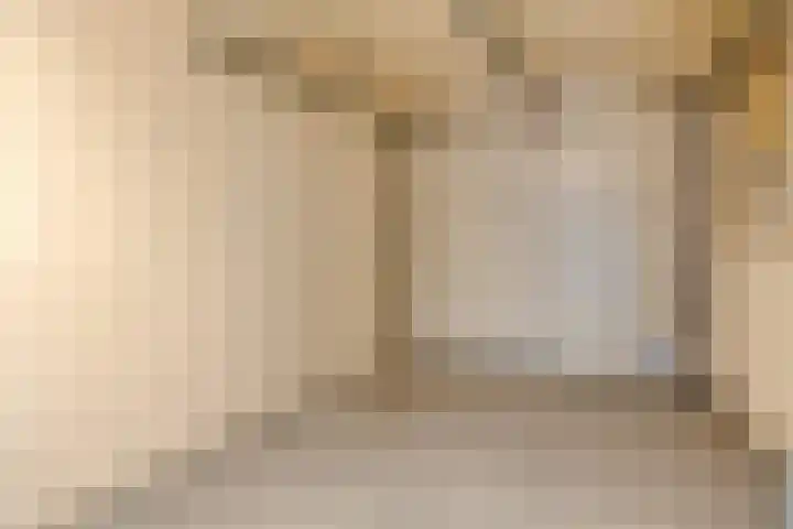 Rapenburg 25 Vogelwaarde thumbnail 37