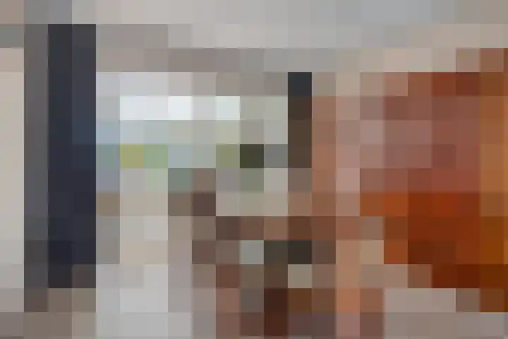 Rapenburg 25 Vogelwaarde thumbnail 8