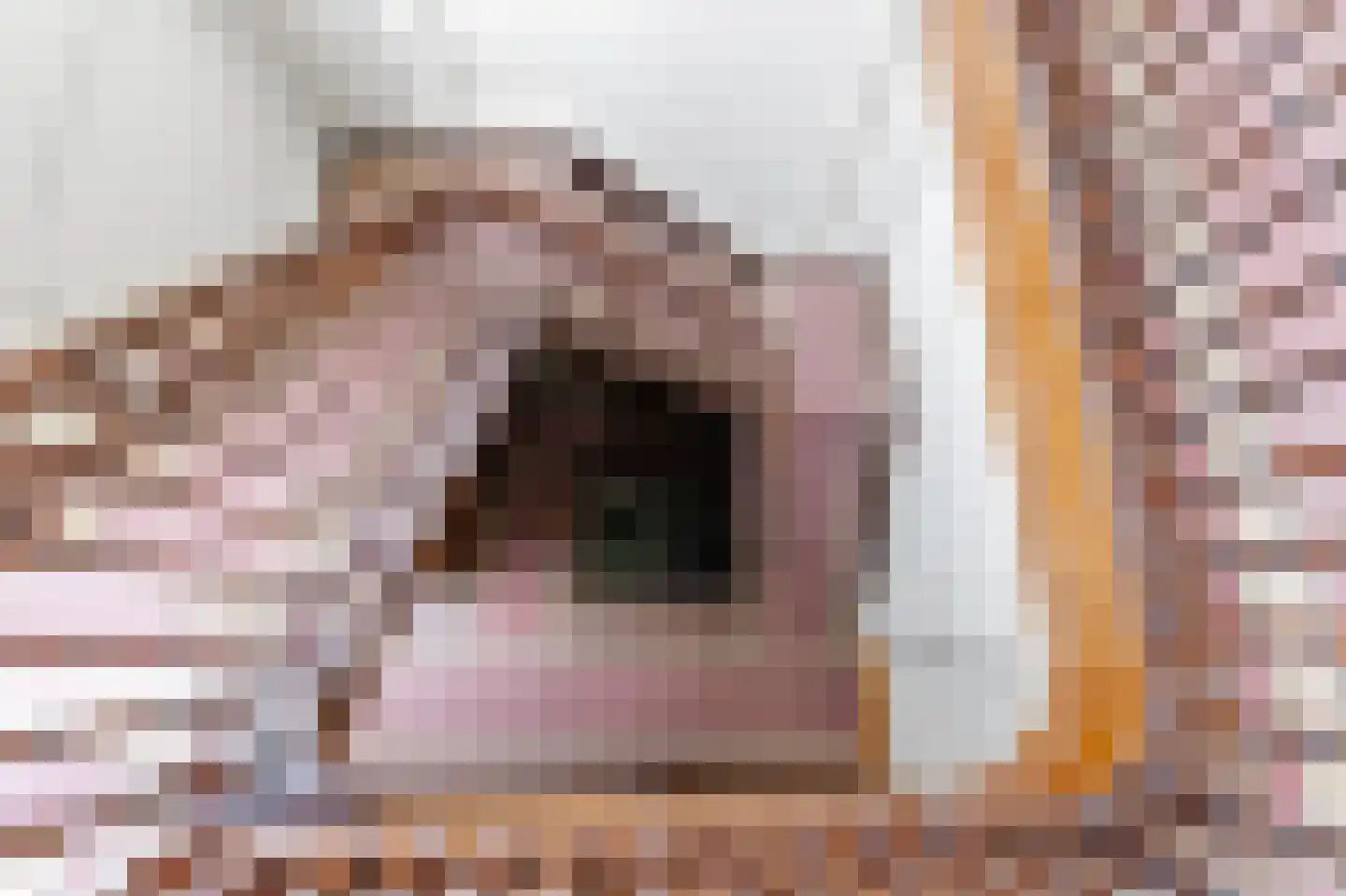 Rapenburg 27 D Leiden thumbnail 42