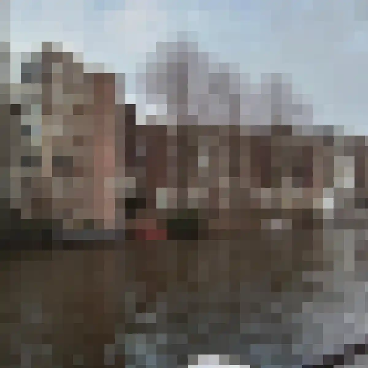Rapenburg 28 D in Amsterdam