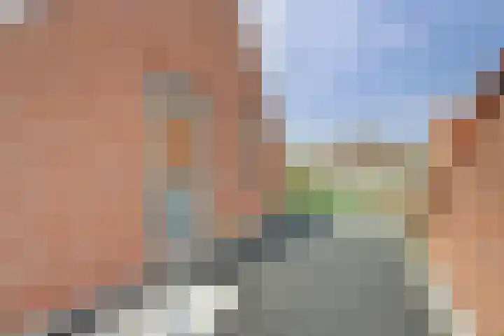 Rapenburg 3 Harlingen thumbnail 28