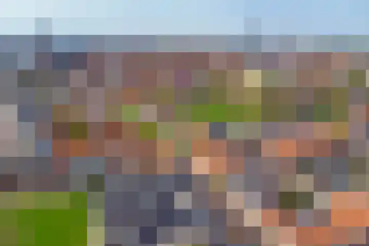 Rapenburg 3 Harlingen thumbnail 40