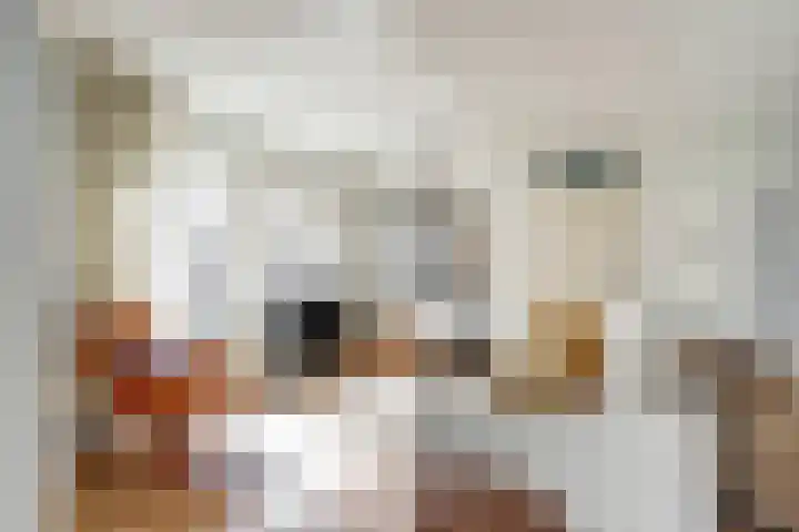 Rapenburg 3 Harlingen thumbnail 8