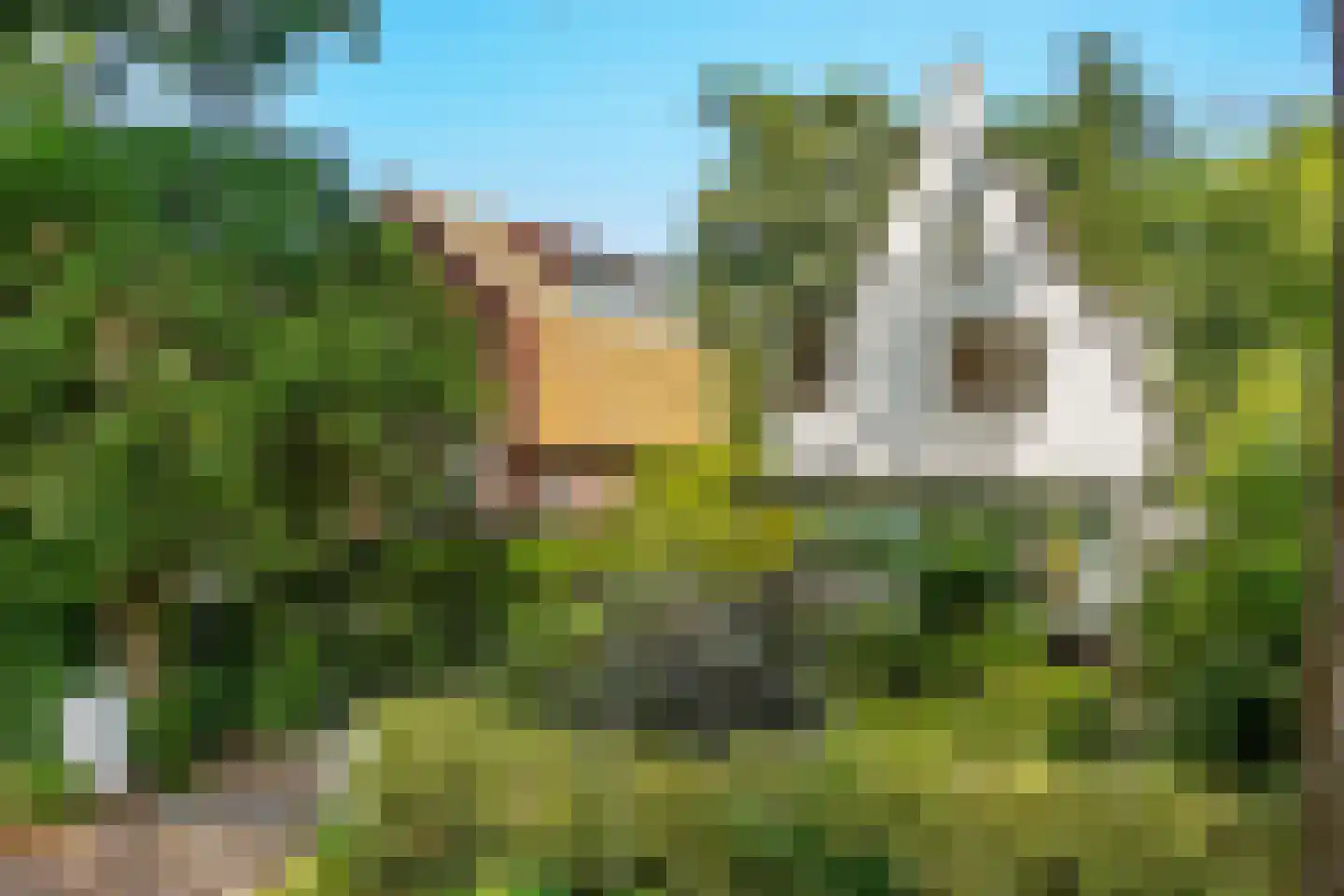 Rapenburg 3 Leiden thumbnail 17