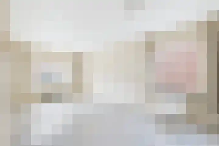 Rapenburg 30 Vogelwaarde thumbnail 10