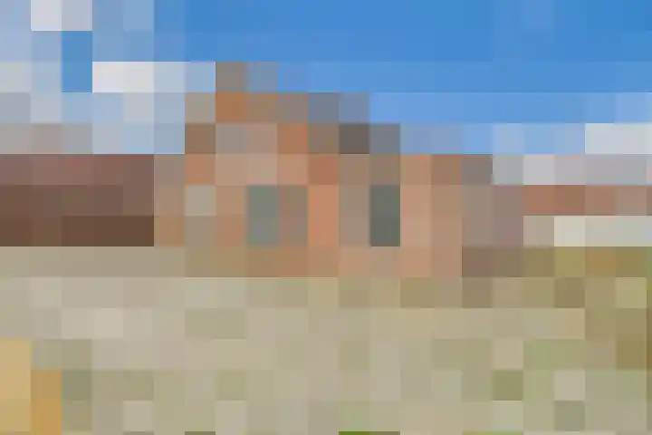 Rapenburg 30 Vogelwaarde thumbnail 12