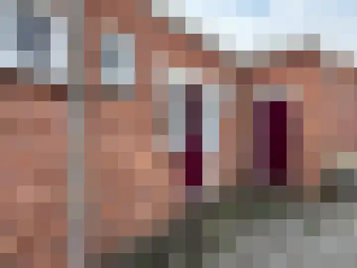 Rapenburg 30 Vogelwaarde thumbnail 14