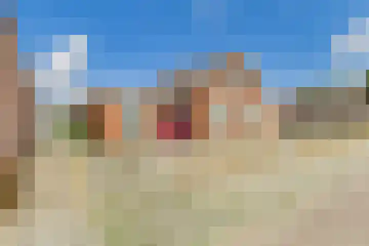 Rapenburg 30 Vogelwaarde thumbnail 15