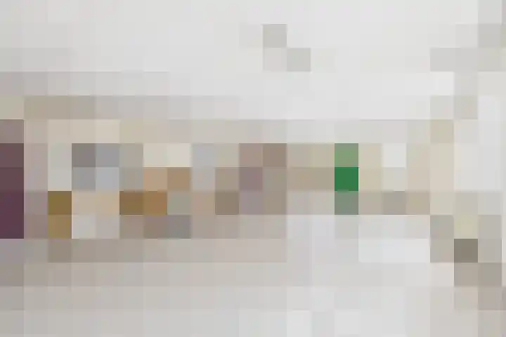 Rapenburg 30 Vogelwaarde thumbnail 4