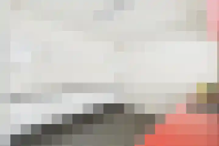 Rapenburg 30 Vogelwaarde thumbnail 6