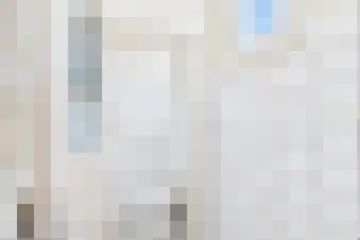 Rapenburg 30 Vogelwaarde thumbnail 8